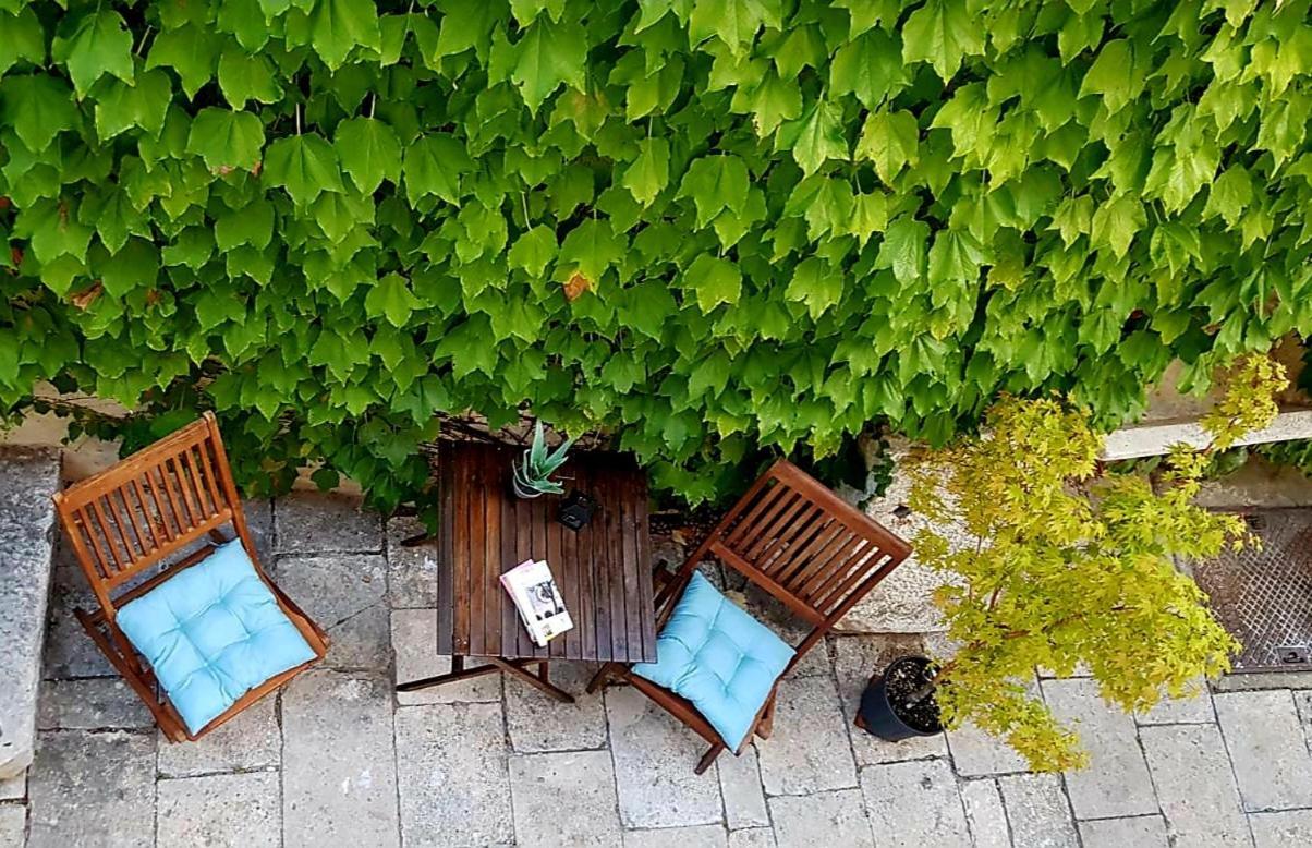 Villa Ani Apartment Coral Dubrovnik Dış mekan fotoğraf