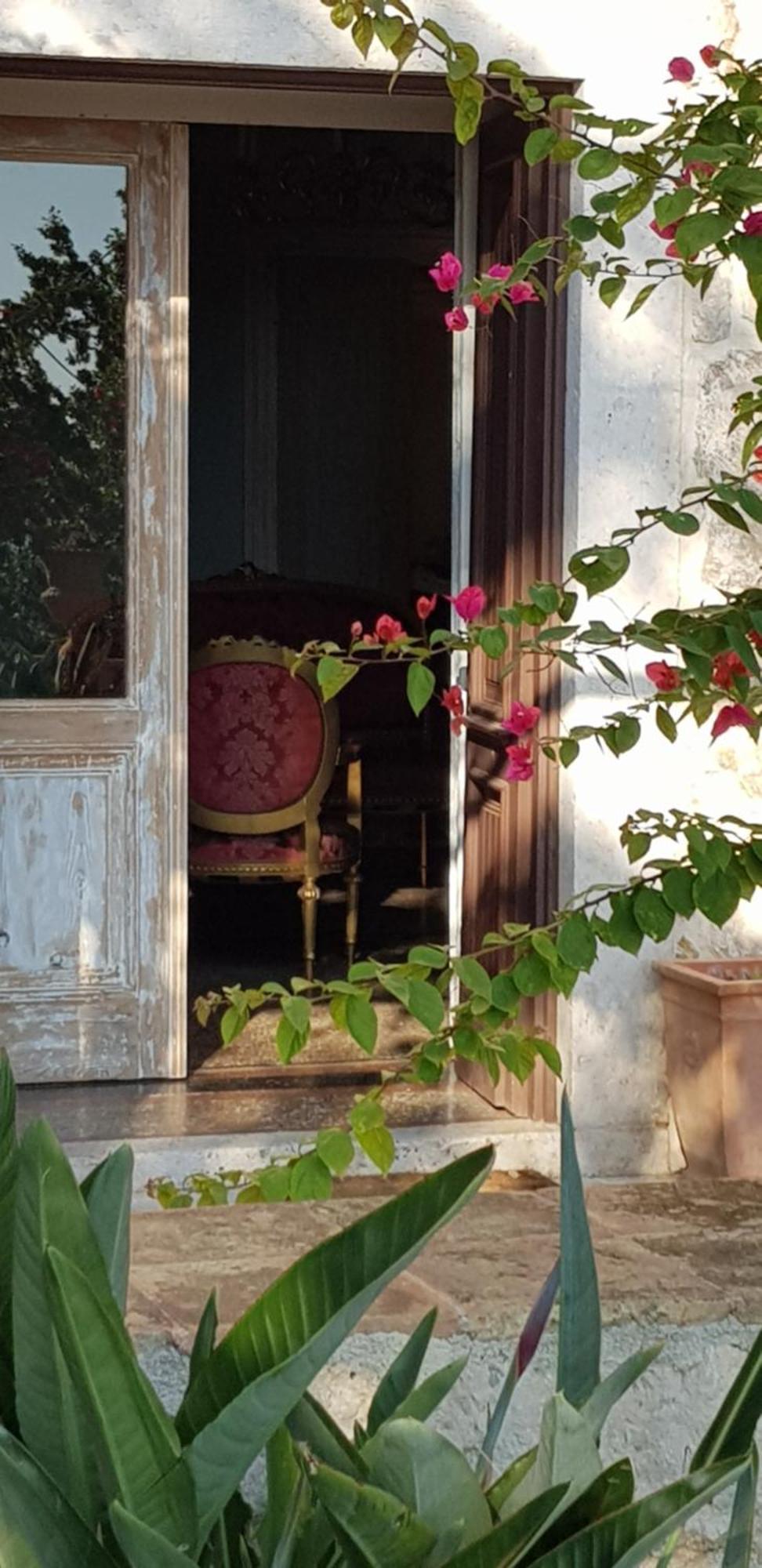 Villa Ani Apartment Coral Dubrovnik Dış mekan fotoğraf