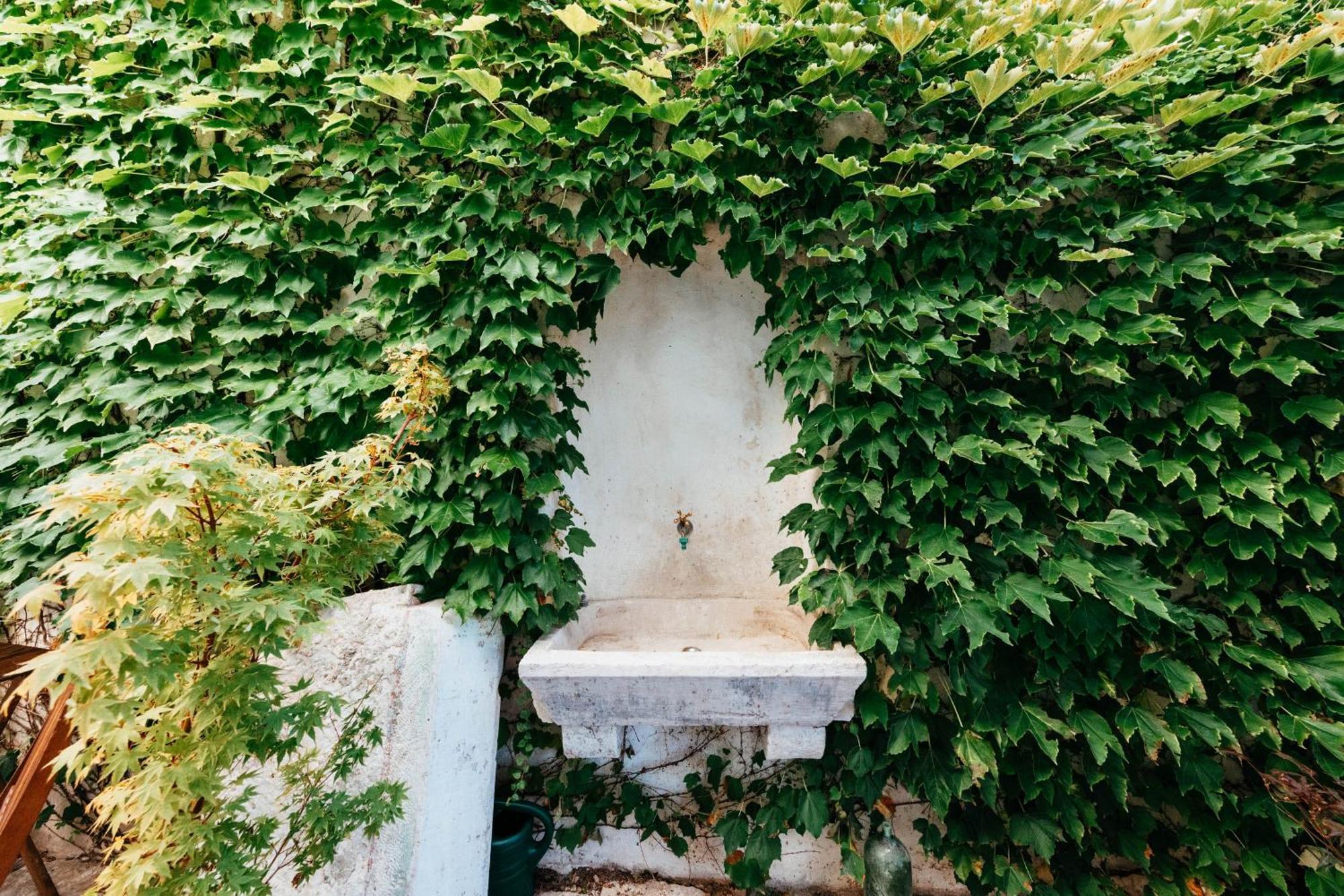 Villa Ani Apartment Coral Dubrovnik Dış mekan fotoğraf